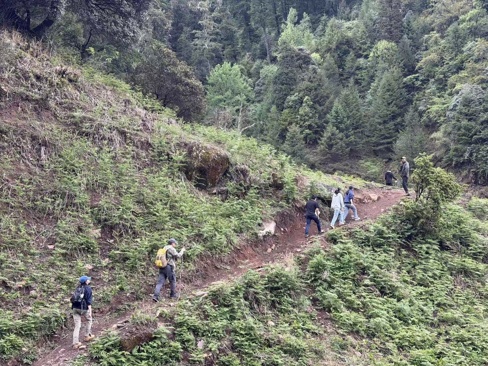 Trekking toward the field site