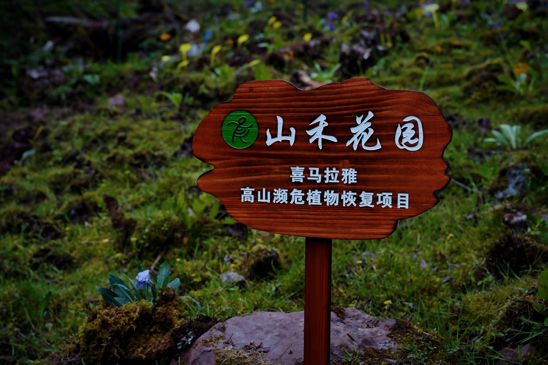 Shanhe garden sign
