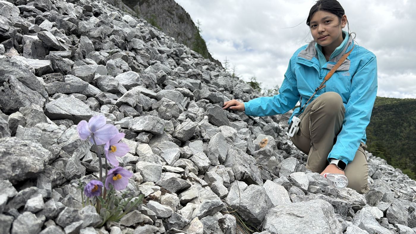 Field flower record