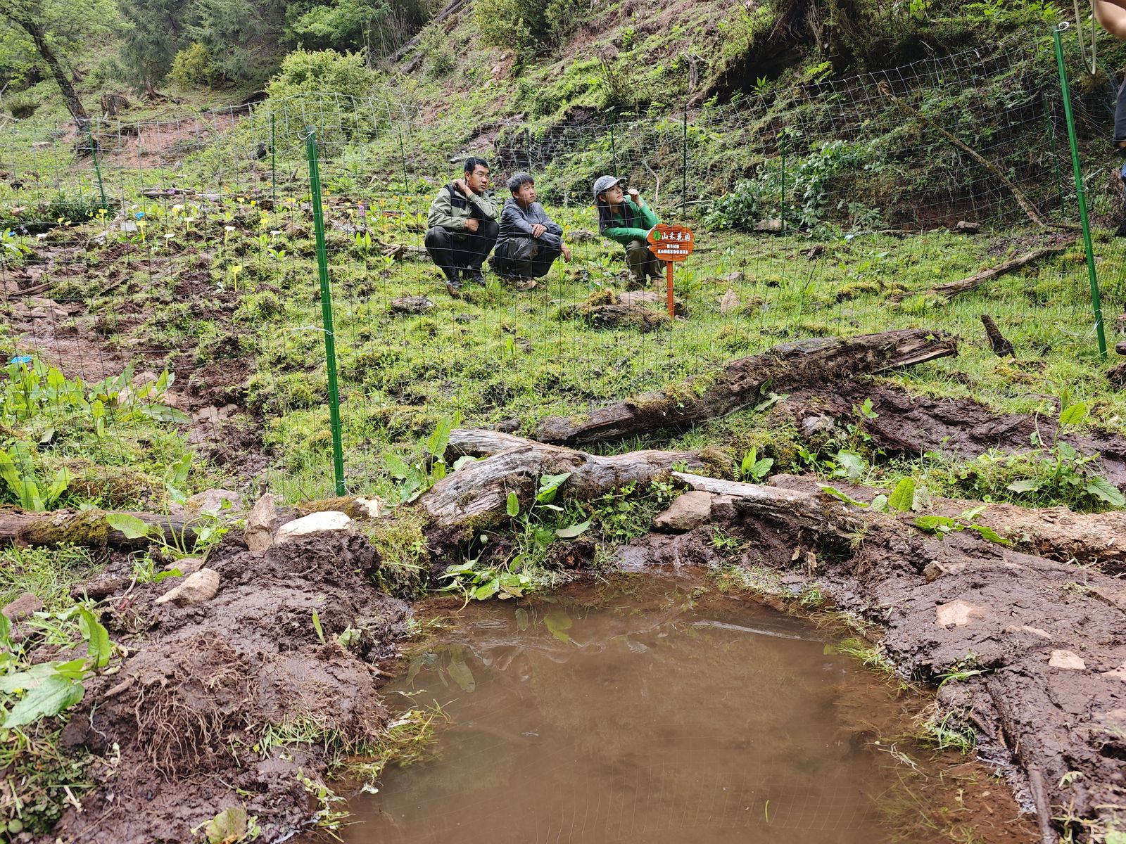 Planting on the mountain at Liju
