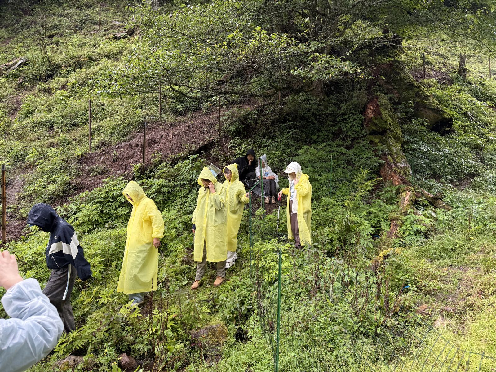 Field exchange between volunteers and residents